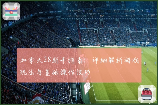 加拿大28新手指南：详细解析游戏玩法与基础操作技巧