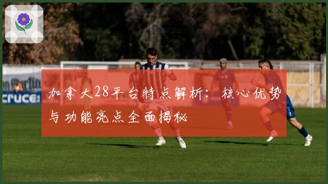 加拿大28平台特点解析：核心优势与功能亮点全面揭秘