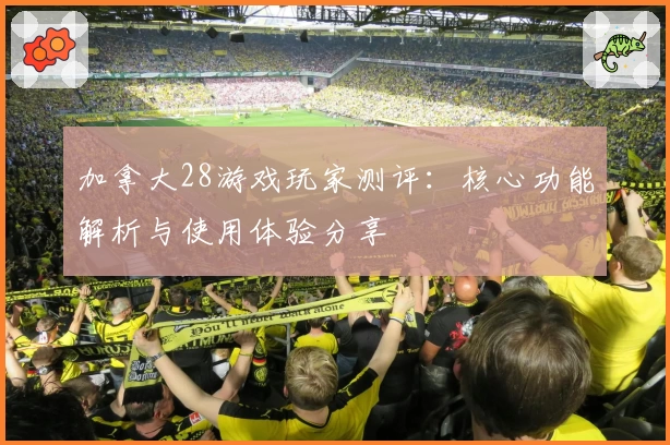 加拿大28游戏玩家测评：核心功能解析与使用体验分享
