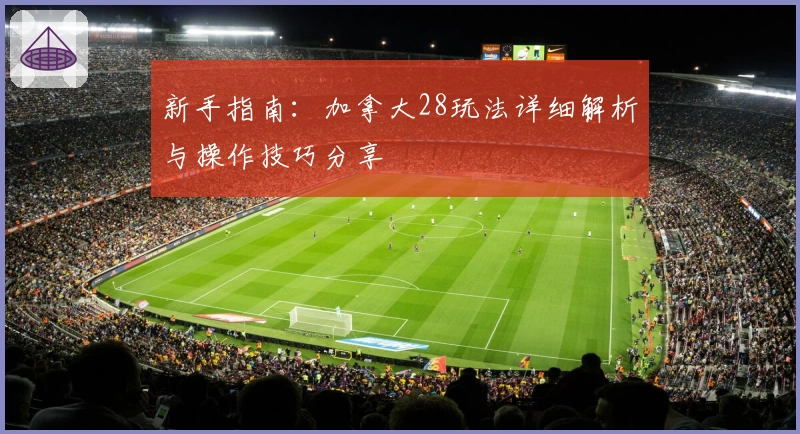新手指南：加拿大28玩法详细解析与操作技巧分享