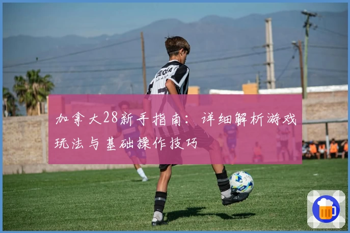 加拿大28新手指南：详细解析游戏玩法与基础操作技巧
