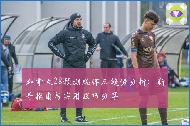 加拿大28预测规律及趋势分析：新手指南与实用技巧分享