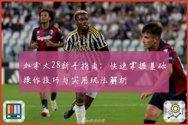 加拿大28新手指南：快速掌握基础操作技巧与实用玩法解析