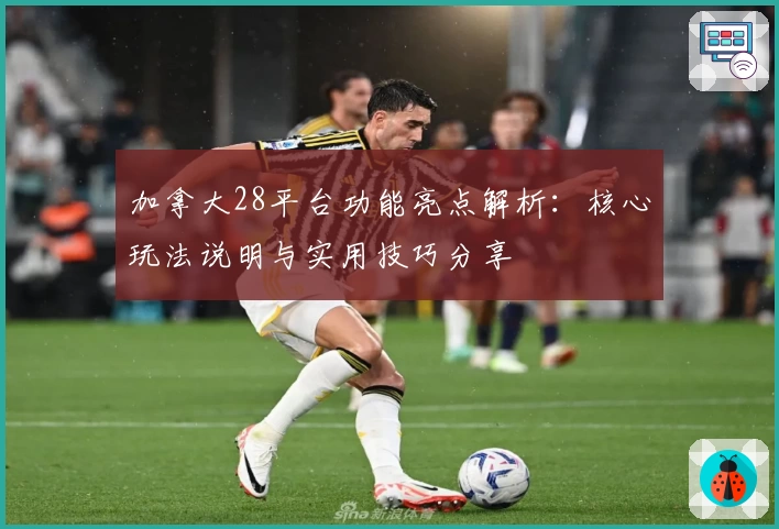 加拿大28平台功能亮点解析：核心玩法说明与实用技巧分享