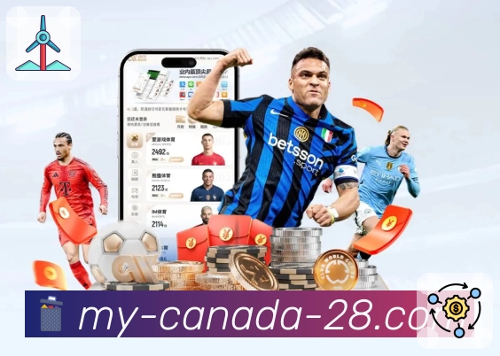 加拿大28APP，让服务触手可及